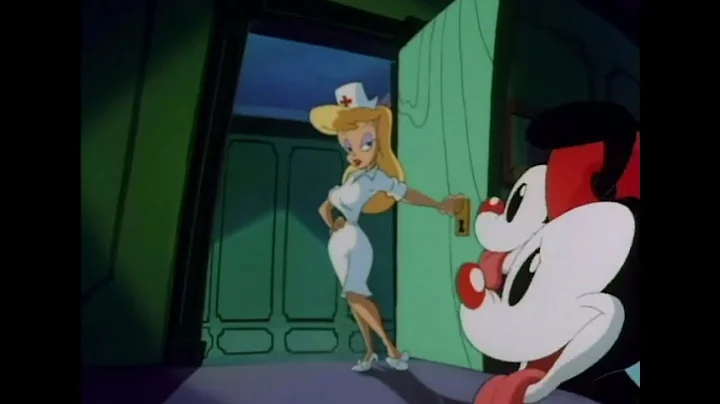 Animaniacs - The warner brothers meet hello nurse ...
