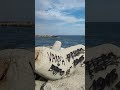 Varna bulgarie perle de la mer noire oui pas partout 