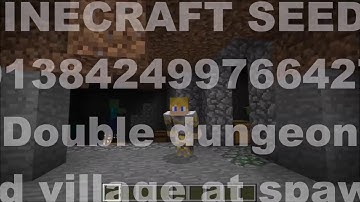 Double dungeon SPAWNERS and village at spawn! 1.10.2 seed.