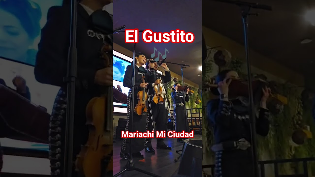 #mariachi Mi Ciudad #elgustito #music #mariachimusic #huastecapotosina  #musica #live #huasteca