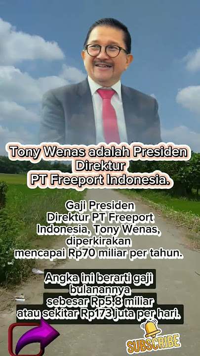 INILAH GAJI DIREKTUR PT FREEPORT INDONESIA TONY WENAS