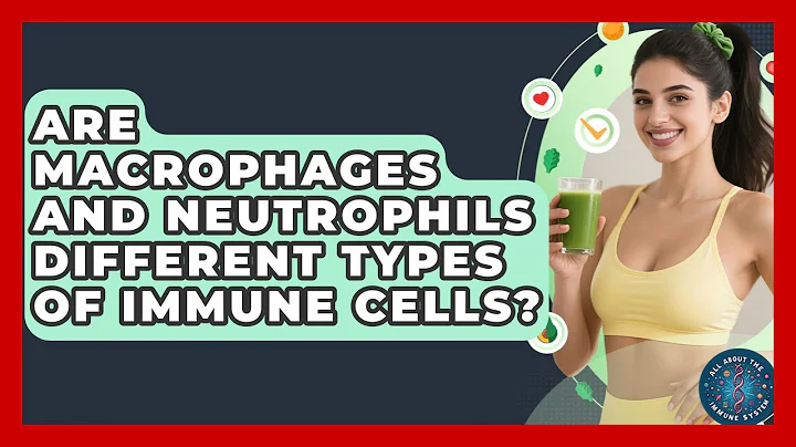 Are Macrophages And Neutrophils Different Types Of Immune Cells? - All About the Immune System