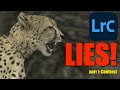 Lightroom Lies:  Taming Contrast Defaults and Remove Lightroom HIDDEN Contrast Changes