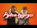 Pyton tygrysi - olbrzym w domu