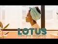 Kompa Zouk Love Instrumental [Zouk Instru] - LOTUS