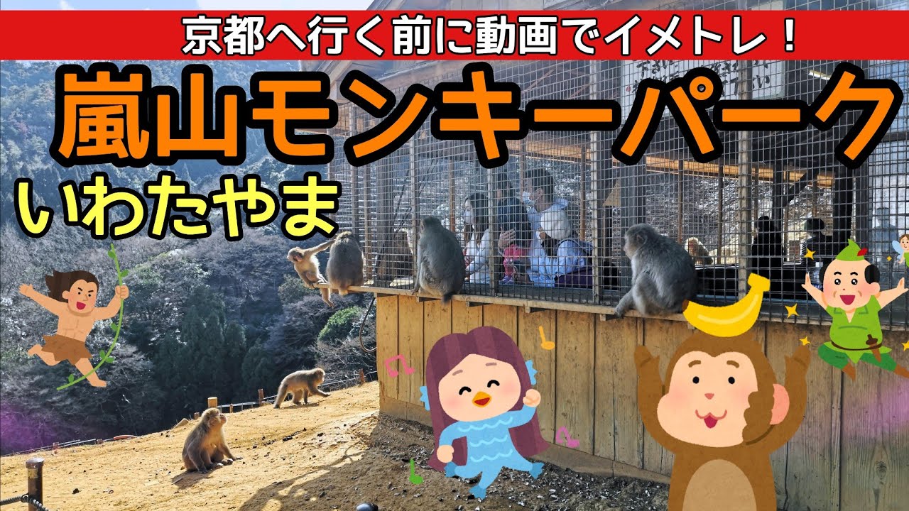 嵐山モンキーパーク 京都 嵐山モンキーパークいわたやまへ行く前に動画でイメトレ Youtube
