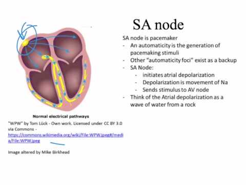 EKG introduction Dubin Chapter 1