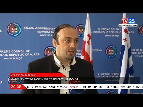 ბულვარში შესაძლო მშენებლობებს უმაღლესი საბწოს დეპუტატები აფასებენ