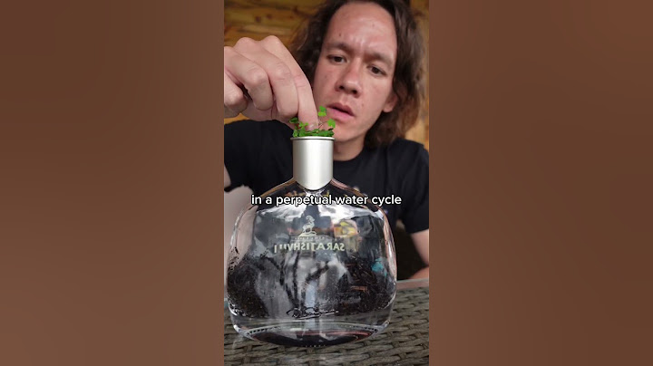 make a terrarium for free