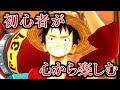 バウンティラッシュを心から楽しむ初心者の動画【ワンピース】【onepiece】【バウンティラッシュ】【bountyrush 】