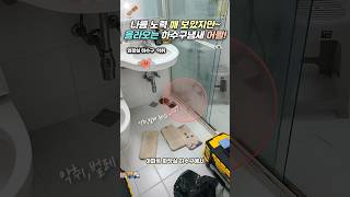 나름 노력해 보았지만~ 올라오는 하수구냄새 어쩔! 하수구트랩 #악취제거 #화장실냄새 #트랩