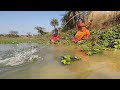 Amazing fishingtraditional woman fishing in the village pond  fish catching fishing