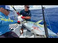 Trolling for ahi tips  tuna tactics  big yellowfin tuna