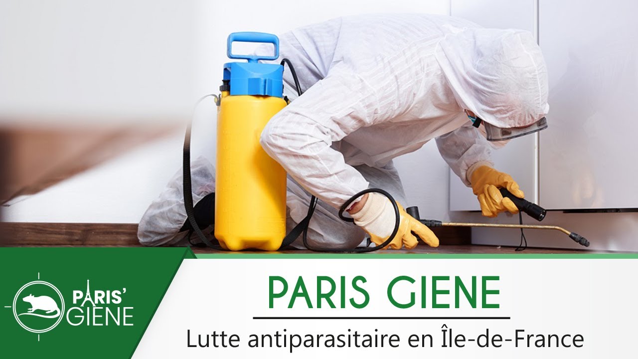 PARIS'GIENE - Entreprise de Traitement Anti-Nuisible en Île-De-France | By AZApp - Agence web