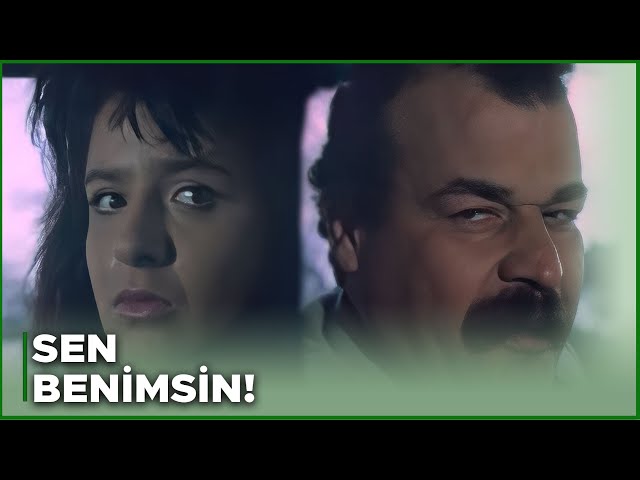 Bu eshaklarning porno suratlari