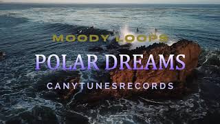 Polar Dreams @moodsongs6413@Looper @bandlab @musicvideos@youtubecreators @fender@ErcanYilmazTunes