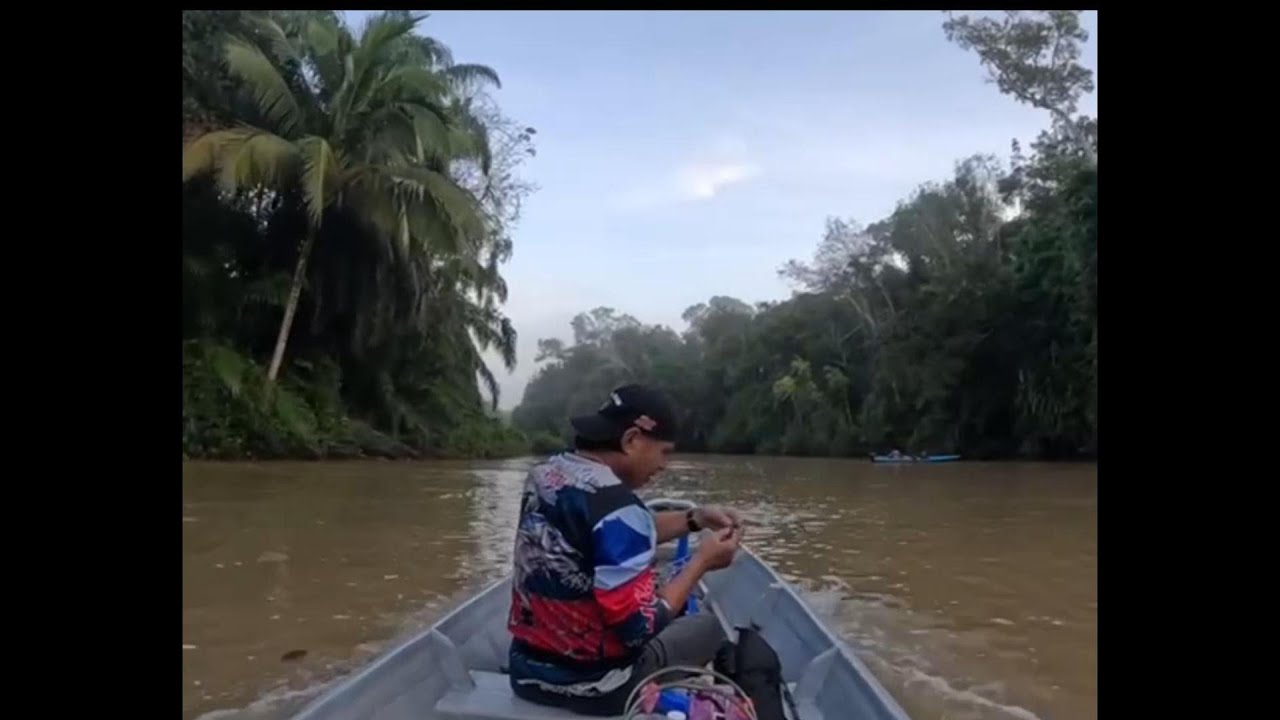 SALAM PERKENALAN 2026 DI SG SIBUTI TRIP JENGGO SIRI 6-17.02.2026 #Fishing #udanggalah #gopro #jenggo