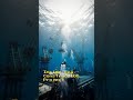 Sea construction secrets revealed in 60 seconds #civildubai