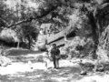 RAHI TU MAT RUK JAANA -ALL 3 PARTS-DOORGAGAN KI CHHAON MEIN -HEMANT KMR-SHAILENDRA-KISHORE KUMAR