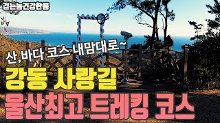 강동사랑길 1코스 영상