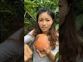 Cut fresh mango fruit 🥭🥑 #fruit#mango#fruits#manga#fruitcutting#fresh#garden#shorts