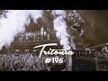 Tritonia 196 (Presented by Tritonal)