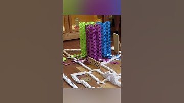 12,000 Dominoes and Chain Reaction Machines!