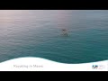 Ocean Kayaking In Maldives By Meeru Island Resort &amp; Spa