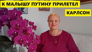 К МАЛЫШУ ПУТИНУ ПРИЛЕТЕЛ КАРЛСОН..СИДИМ НА ЛАВОЧКЕ