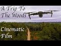 Capture de la vidéo 4K Drone Nature L Trip To The Woods L Cinematic Film