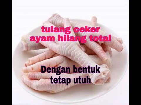 Video: Apa itu Anjing Belasan Terbalik?