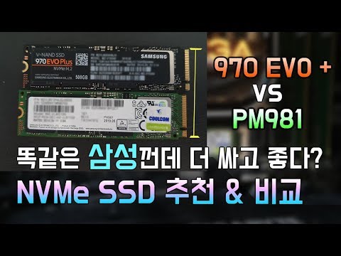 NVMe SSD 추천! 970evo plus 와 동급 PM981