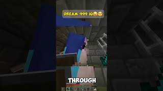 Dream trolled his friends with 999 IQ #dream #minecarft