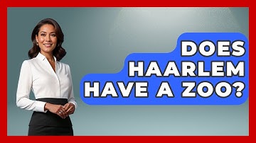 Does Haarlem Have A Zoo? - Exploring The Benelux