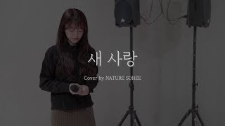 소희 - 새 사랑 COVER (원곡: 송하예)