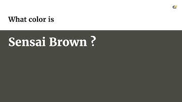 Sensai Brown color #494a41 hex color - Grey color - Cool color 494a41