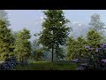 Forest Field 🌿 | Peaceful Evening Birdsong &amp; Gentle Wind for Deep Sleep &amp; Relaxation | 3 Hours