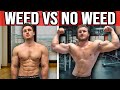 Bodybuilding &amp; Weed: Can You Build Muscle, Testosterone, Best Practices