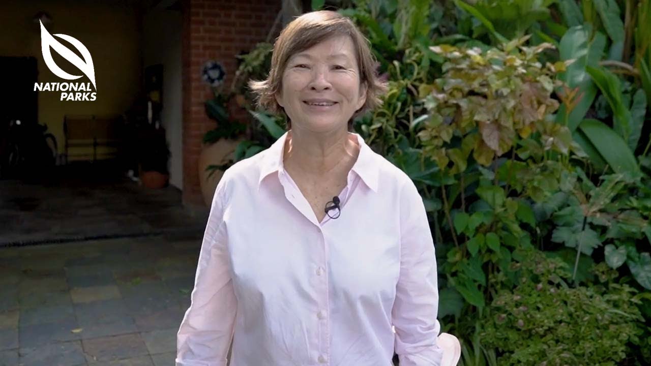 The Garden Invasion Series: Min's Garden