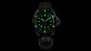 Best Everyday Dive Watch with Automatic Seiko Movement: SPD X HGP Diver 200M Monnin Case