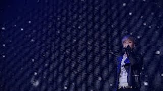 D-LITE (from BIGBANG) - 粉雪 (D'scover Tour 2013 in Japan ～DLive～)