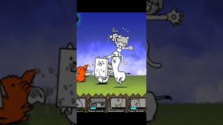 Para Kucing Menyerang Markas Bos