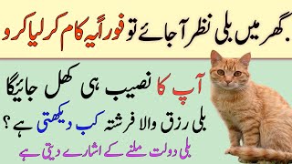 ghar mein billi nazar ajaye tou foran ye kam liya karo @urdu.islamic khani