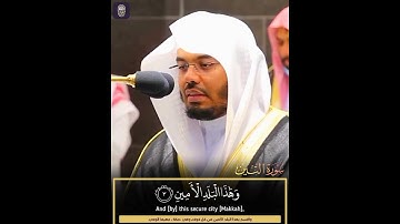 سورة التين || ياسر الدوسري || حالات واتساب قرآن 💙🎧