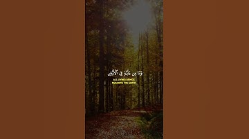 وَما من دابة في الأرض ولا طائر يطير بجناحيه إلاّ أمم أمثالكم/سورة الأنعام |القارئ طارق محمد