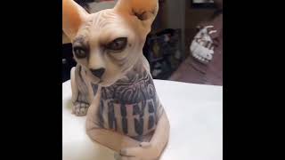 Sphynx Cat Model Life Sized For Tattoo Practice and 3D Display