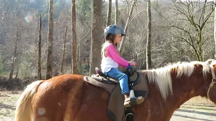 Horseback Riding