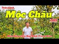 Khám Phá Cao Nguyên Mộc Châu Mùa Hồng 2025 🌸