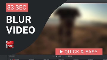 Lightworks Tutorial: How to Blur Video in Lightworks