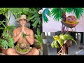 How to make a Coconut Bonsai - Easy Steps